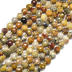 Natural Crazy Agate Beads Strands&nbsp;G-K389-B71-01