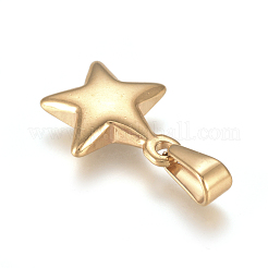 304 Stainless Steel Charms&nbsp;STAS-I127-067G-02