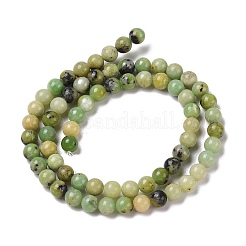 Natural Serpentine Bead Strands&nbsp;G-N166-6-1