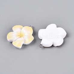 Opaque Resin Pendants&nbsp;RESI-T059-05F