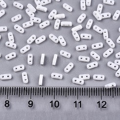 FGB 2-Hole Glass Seed Beads&nbsp;X-SEED-S031-S-SQ41