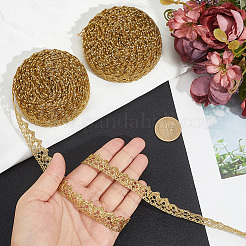 2 Rolls Metallic Yarn Lace Trim&nbsp;OCOR-GF0005-58A