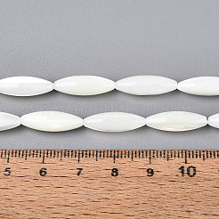 Natural Trochid Shell/Trochus Shell Beads Strands&nbsp;BSHE-T014-34