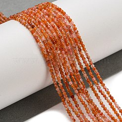 Natural Carnelian Beads Strands&nbsp;G-A129-A01-01