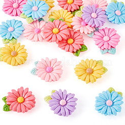 20pcs Opaque Resin Cabochons&nbsp;RESI-TADJ0001-08E