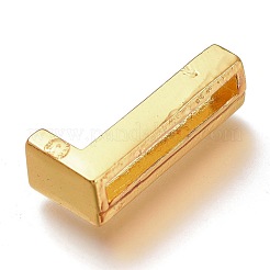 Alloy Slide Charms&nbsp;PALLOY-I201-01G-L