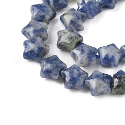 Natural Blue Spot Jasper Star Beads Strands&nbsp;G-Z080-A06
