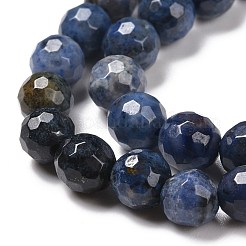 Natural Dumortierite Beads Strands&nbsp;G-E571-06A