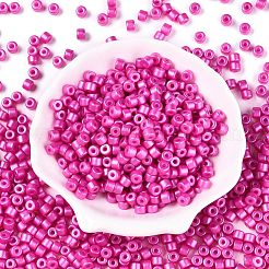 Baking Paint Pearlized Glass Seed Beads&nbsp;SEED-T008-03N