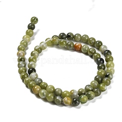 Natural TaiWan Jade Beads Strands&nbsp;G-B128-A07-02