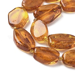 Natural Amber Beads Strands&nbsp;G-L095-C01-04
