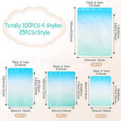 100Pcs 4 Styles PET Zipper Bags&nbsp;OPP-TA0001-19D