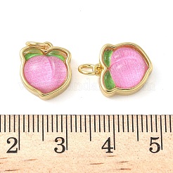 Brass Resin Charms&nbsp;KK-C110-24B-G