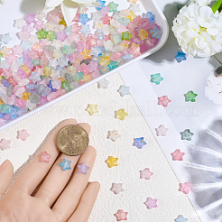 600Pcs 2 Colors Frosted Acrylic Charms&nbsp;OACR-PA0001-35