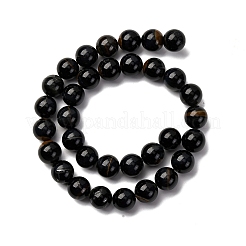 Dyed Natural Blue Tiger Iron Beads Strands&nbsp;G-G286-A02-12mm