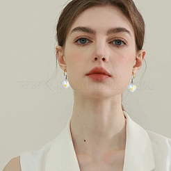 30Pcs 10 Styles Electroplated Glass European Dangle Charms&nbsp;PALLOY-AR00049
