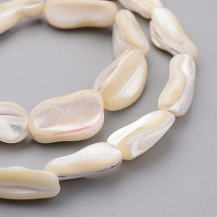Natural Shell Bead Strands&nbsp;BSHE-P021-04