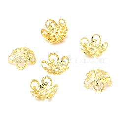 Brass Beads Cap&nbsp;KK-H446-03G-01
