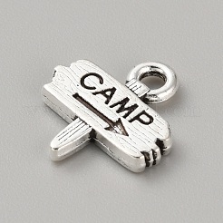 Alloy Pendant&nbsp;FIND-WH0423-01AS