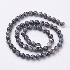 Natural Larvikite Beads Strands&nbsp;GSR6mmC128