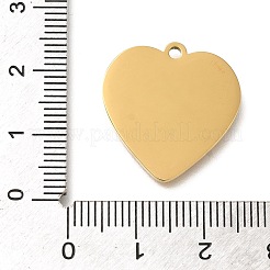 304 Stainless Steel Pendants&nbsp;STAS-R131-14G