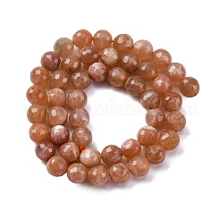 Natural Peach Moonstone Beads Strands&nbsp;LS-G-J403-04A-8mm