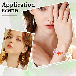 600Pcs Transparent Acrylic Beads&nbsp;TACR-SP0001-09