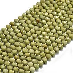Natural Alashan Agate Beads Strands&nbsp;G-P573-A52-01