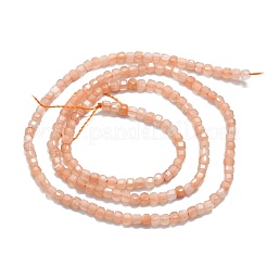 Natural Sunstone Beads Strands&nbsp;G-P457-B01-20