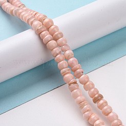 Natural Cultured Freshwater Shell Beads Strands&nbsp;SHEL-F002-01