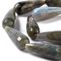 Natural Labradorite Beads Strands&nbsp;G-I328-07