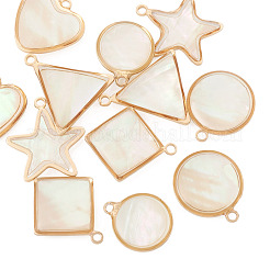 12Pcs 6 Styles Natural Shell Pendants&nbsp;BSHE-TA0002-06