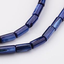 Natural Shell Bead Strands&nbsp;BSHE-P016-10