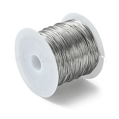Non-Tarnish 316 Surgical Stainless Steel Wire&nbsp;TWIR-L004-01A-P