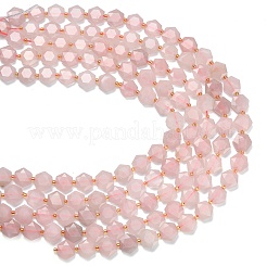 Natural Rose Quartz Beads Strands&nbsp;G-L660-A04-01