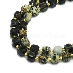 Natural African Turquoise Beads Strands&nbsp;G-I376-D63-01
