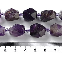 Natural Amethyst Beads Strands&nbsp;G-C182-16-01