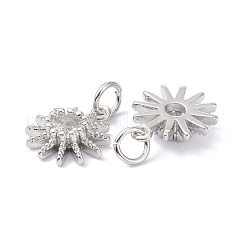 Brass Cubic Zirconia Charms&nbsp;ZIRC-C022-18P