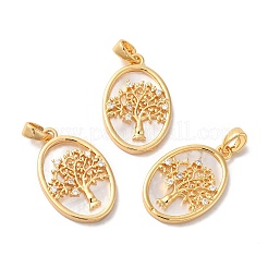 Brass Shell Pendants&nbsp;LS-KK-M243-34G