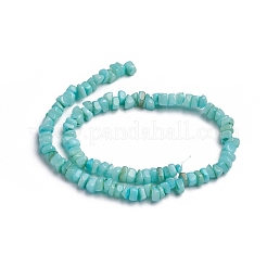 Shell Beads Strands&nbsp;BSHE-G026-02