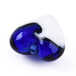 Handmade Lampwork Beads&nbsp;LAMP-N024-41B