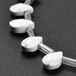 Natural Howlite Beads Strands&nbsp;G-Q167-A19-02