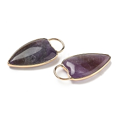 Natural Amethyst Pendants&nbsp;G-I393-01G-03