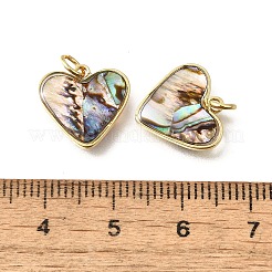 Natural Paua Shell & Epoxy Resin Charms&nbsp;KK-E794-02G-05