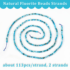2 Strands Natural Apatite Beads Strands&nbsp;G-OC0004-41