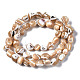 Natural Trochid Shell/Trochus Shell Beads Strands&nbsp;SSHEL-S266-015B-2