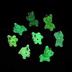 Luminous Transparent Resin Pendants&nbsp;RESI-Z043-02P