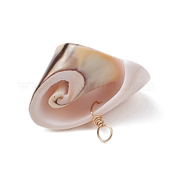 Natural Shiva Eye Shell Pendants&nbsp;PALLOY-JF02952