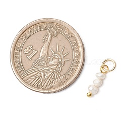 Natural Freshwater Pearl Rondelle Beaded Charms&nbsp;PALLOY-JF04994-02
