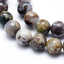 Natural Pietersite Beads Strands&nbsp;G-G823-05-10mm
